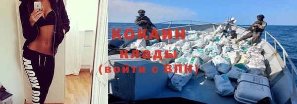 винт Майский