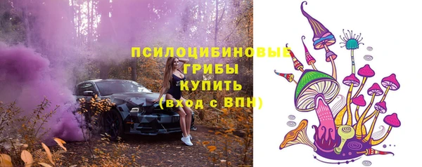 сатива Сосновка