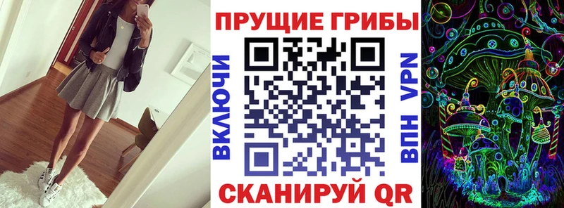Псилоцибиновые грибы Cubensis  купить  сайты  Медвежьегорск 